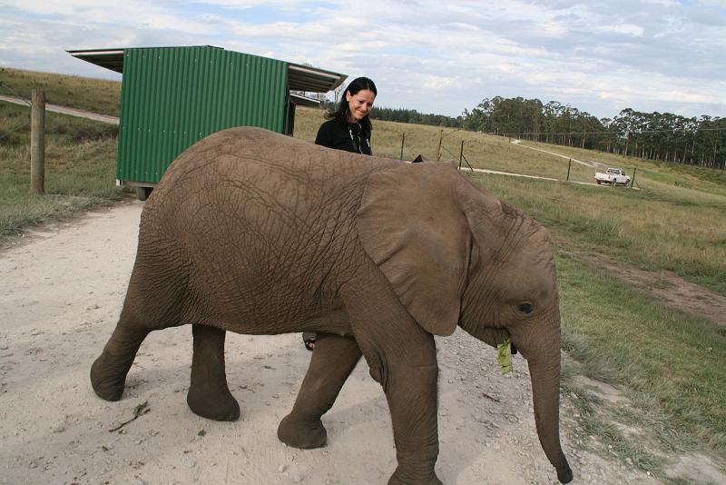 Elephant Sanctuary (4).jpg